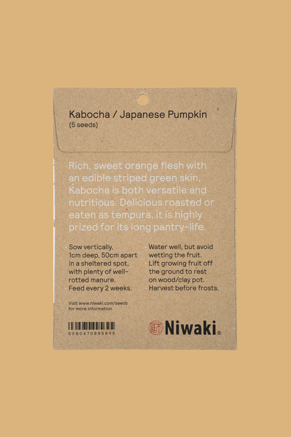 Kabocha Japanese Pumpkin Seeds - Image 2